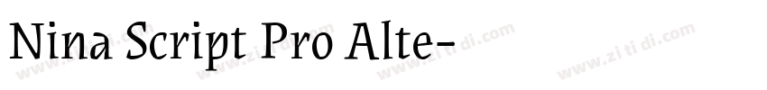 Nina Script Pro Alte字体转换